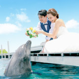 ルネッサンスリゾートオキナワでイルカと一緒に結婚式