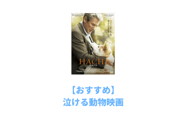 厳選 プロが選んだおすすめ動物映画28選 泣けるものからコメディまで動物が出てくる映画おすすめランキング 子育てイルカが笛を吹く