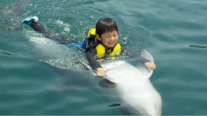 イルカと泳ぐ子供