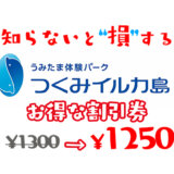 【2024年最新】大分県つくみイルカ島のお得な割引券はこれ｜お得なクーポンチケットを使って安い料金でイルカと泳ぐ方法
