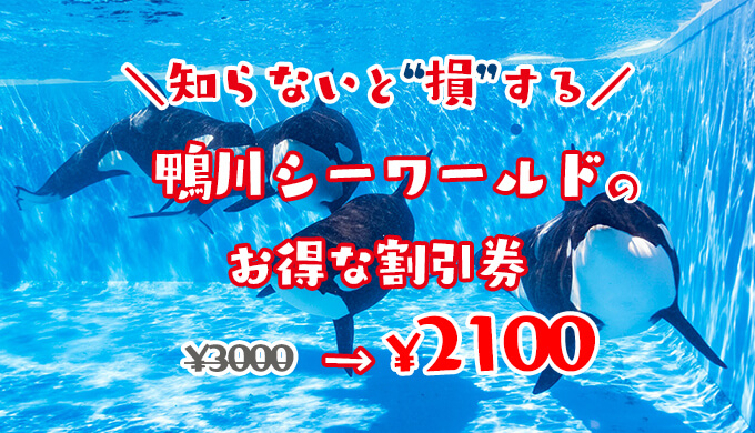 お得な情報満載 鴨川シーワールド入場割引券 Estudointegradomultidisciplinar Com