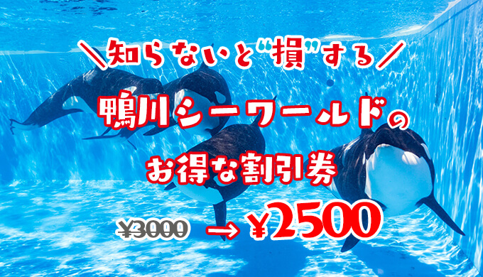 2022年最新】鴨川シーワールドの割引券はこれ!クーポンを使って水族館の入場料金を安くする方法を徹底解説 | 子育てイルカが笛を吹く 2022年最新】鴨川シーワールドの割引券はこれ!クーポンを使って水族館の入場料金を安くする方法を徹底解説 | 子育てイルカが笛を吹く