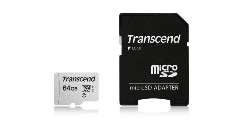 21年最新 Gopro ゴープロ 用おすすめmicrosdカードはこれ 知っておきたい容量や記録速度を徹底解説 動作保証された安いメモリーカードの選び方 子育てイルカが笛を吹く