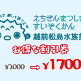 越前松島水族館は割引券がいっぱい！お得なクーポンを使って入場料金を安くするおすすめの方法
