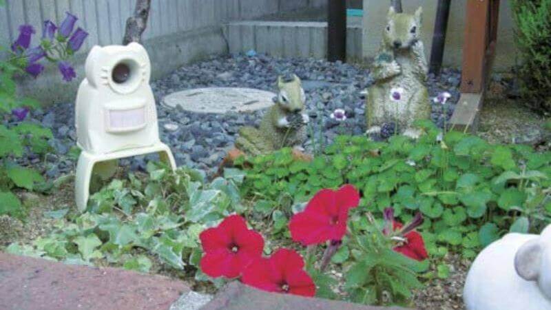 絶大 け 効果 猫 ブログ よ