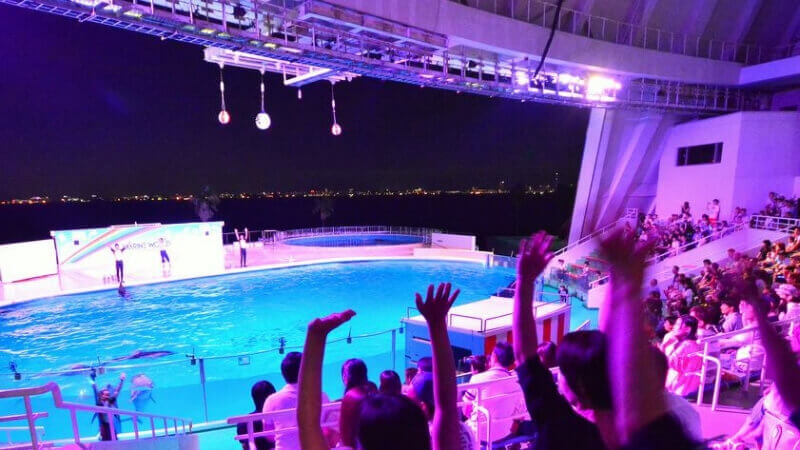 マリンワールド海の中道の夜の水族館