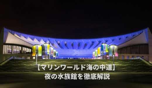 福岡マリンワールド海の中道「夜の水族館2024」を徹底解説！割引券や開催期間は？イルカのナイトショーの時間は？