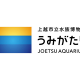 【2024年最新】上越水族館うみがたりは割引券がいっぱい！お得なクーポンを使って入場料金を安くする方法を調べてみた