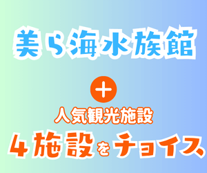 美ら海とくとく5パス