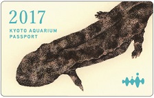 京都水族館の年間パスポート