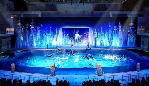 関東地方でイルカショーが見れるおすすめ水族館７選｜東京近郊のデートや子供連れに人気のお出かけスポット