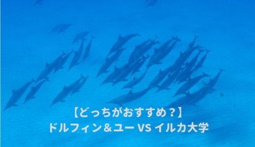 ドルフィン&ユーと名門イルカ大学はどっちがおすすめ？違いを比較してわかったハワイオアフ島の人気イルカツアー