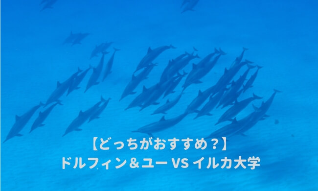 ドルフィンアンドユーとイルカ大学どっちがおすすめ