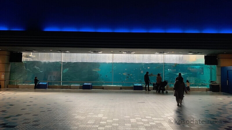 須磨水族館の大水槽