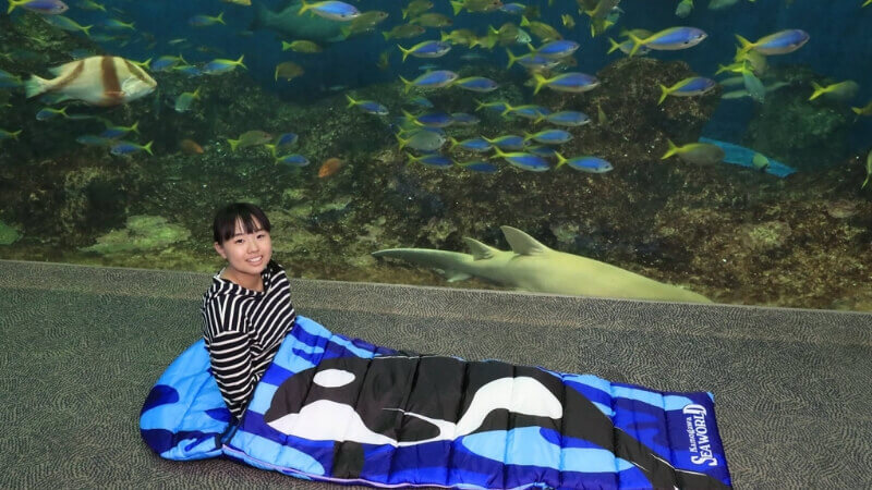 鴨川シーワールドナイトステイ