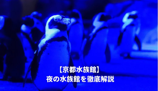 京都水族館「夜の水族館2024」を徹底解説！ナイトショーはいつから？営業時間は？夜間営業の料金や割引情報を紹介する！