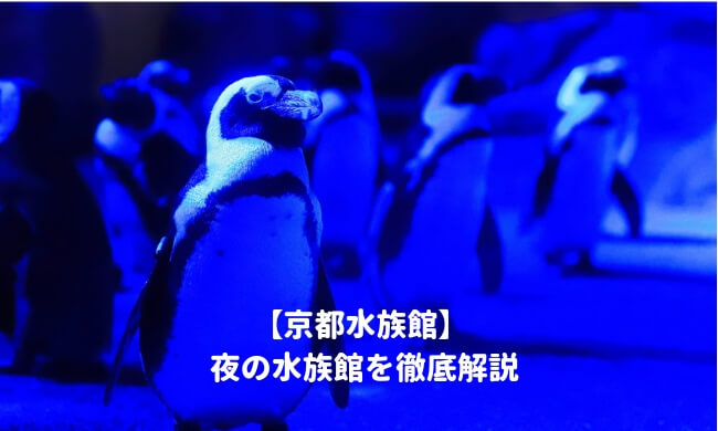 京都水族館の夜の水族館