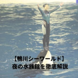 鴨川シーワールド夜の水族館