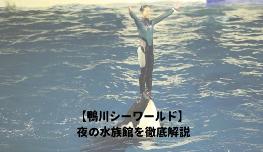 下のソーシャルリンクからフォロー