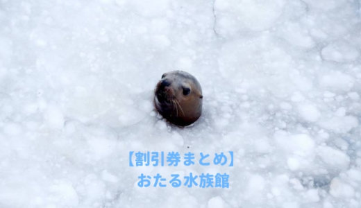 おたる水族館の割引チケット！クーポンコードを使ってコンビニで買うより入場料金を安くする方法