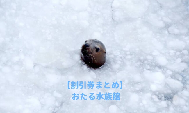 小樽水族館の割引情報