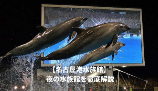 名古屋港水族館の「夜の水族館2024」を徹底解説！いつから？夜間営業のナイトアクアリウムを楽しむための豆知識！