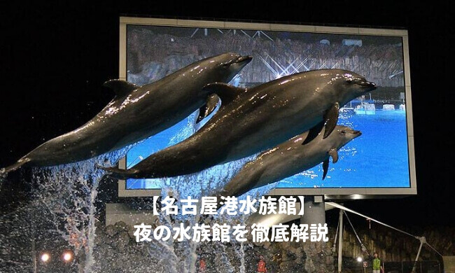 名古屋港水族館のナイトショー