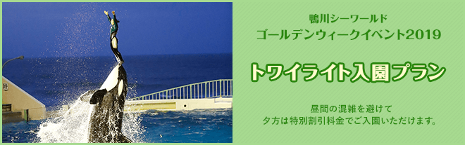 鴨川シーワールドの夕方からチケット