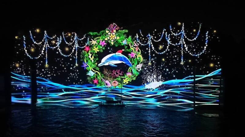 須磨水族館のイルカナイトライブ