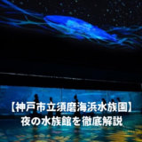 須磨水族館の夜の水族館