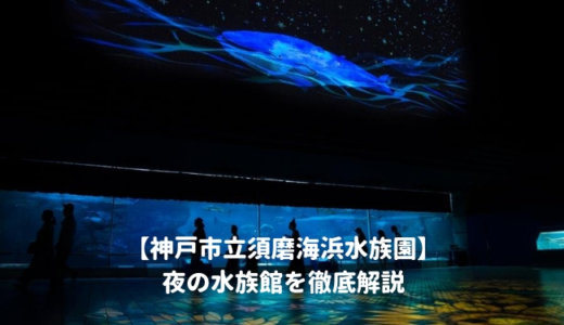 須磨海浜水族園の「夜の水族館2022」を徹底解説！ナイトショーはいつから？営業時間は？料金や割引情報を紹介する！