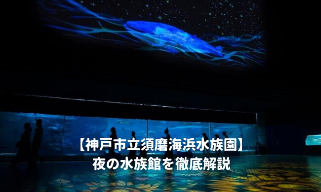 須磨水族館の夜の水族館