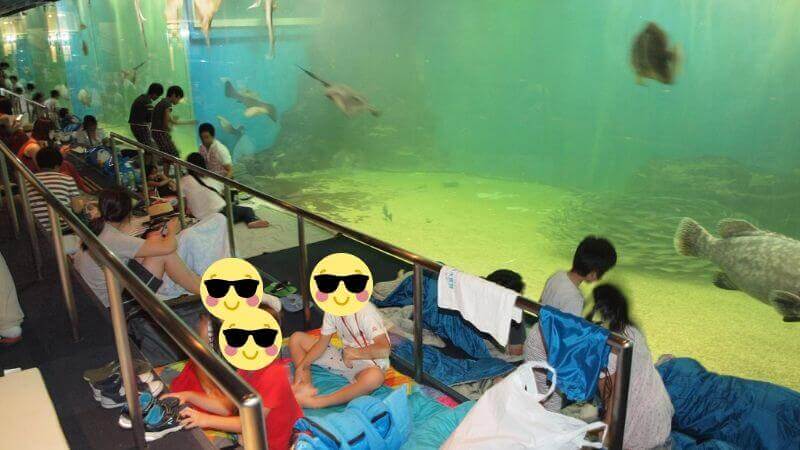 越前松島水族館のお泊り水族館