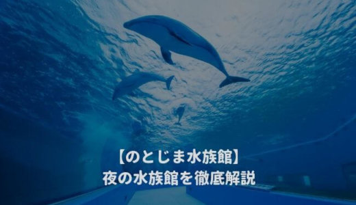 のとじま水族館の「夜の水族館2024」を徹底解説！ナイトショーはいつから？営業時間は？料金や割引情報を紹介する！