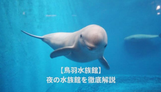 鳥羽水族館の「夜の水族館2019」を徹底解説！ナイトショーはいつから？営業時間は？料金や割引情報を紹介する！