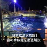 越前松島水族館の夜の水族館