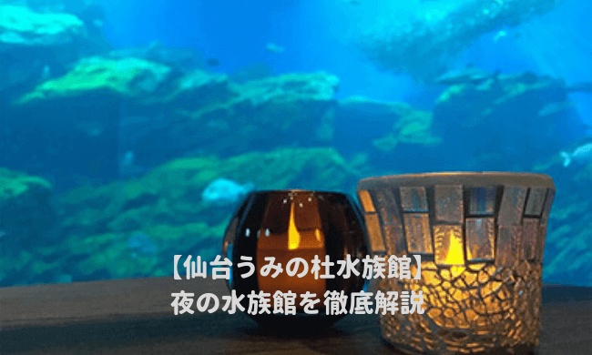 仙台うみの杜水族館の夜の水族館