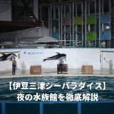 伊豆三津シーパラダイスの夜の水族館