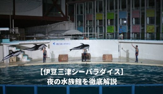 伊豆三津シーパラダイスの「夜の水族館」を徹底解説！ナイトショーはいつから？夜間営業の時間は？料金や割引情報を紹介する！