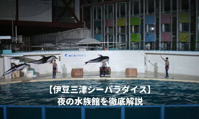 伊豆三津シーパラダイスの夜の水族館