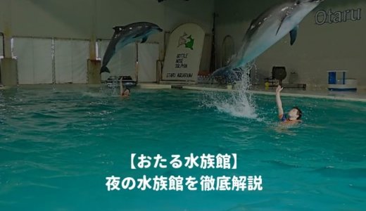 おたる水族館の「夜の水族館2021」を徹底解説！ナイトショーはいつから？夜間営業の時間は？料金や割引情報を紹介する！