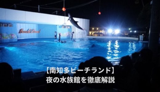 南知多ビーチランドの「夜の水族館2023」を徹底解説！ナイトショーはいつから？夜間営業の時間は？料金や割引情報を紹介する！