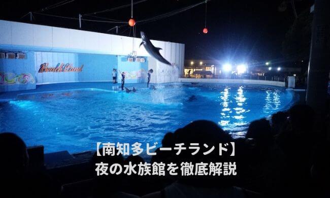 南知多ビーチランドの夜の水族館