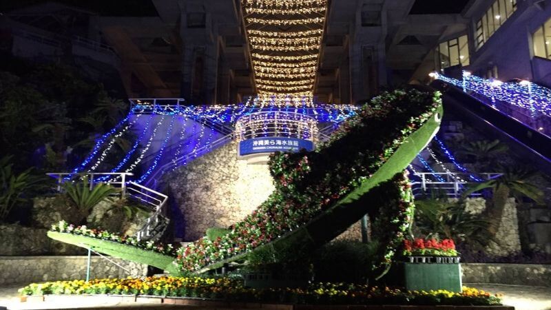 美ら海水族館の夜の水族館