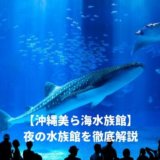 美ら海水族館の夜の水族館