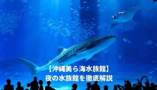 沖縄美ら海水族館の「夜の水族館2024」を徹底解説！ナイトショーはいつから？夜間営業の時間は？料金や割引情報を紹介する！