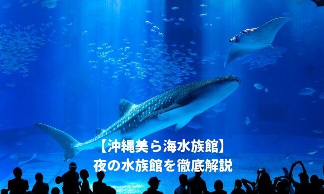 美ら海水族館の夜の水族館