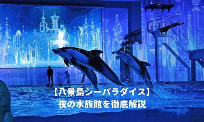 八景島シーパラダイス 夜の水族館21 の日程 開催情報 ナイトショーはいつから 営業時間は 料金や割引情報を紹介する 子育てイルカが笛を吹く