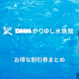 【沖縄】DMMかりゆし水族館は割引券がいっぱい！クーポンを使って入場料金をコンビニより安く購入する方法を調べてみた