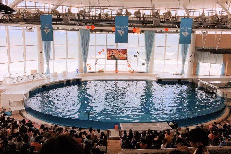 茨城 アクアワールド大洗水族館は割引券がいっぱい クーポンを使って入場料金を安くする方法を調べてみた 子育てイルカが笛を吹く